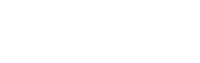Roy Tours Logo